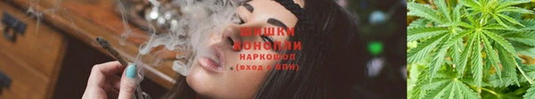 каннабис Алексеевка