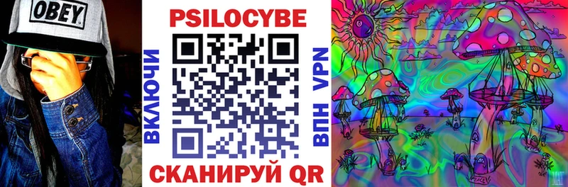 нарко площадка официальный сайт  Полярные Зори  Псилоцибиновые грибы Magic Shrooms 